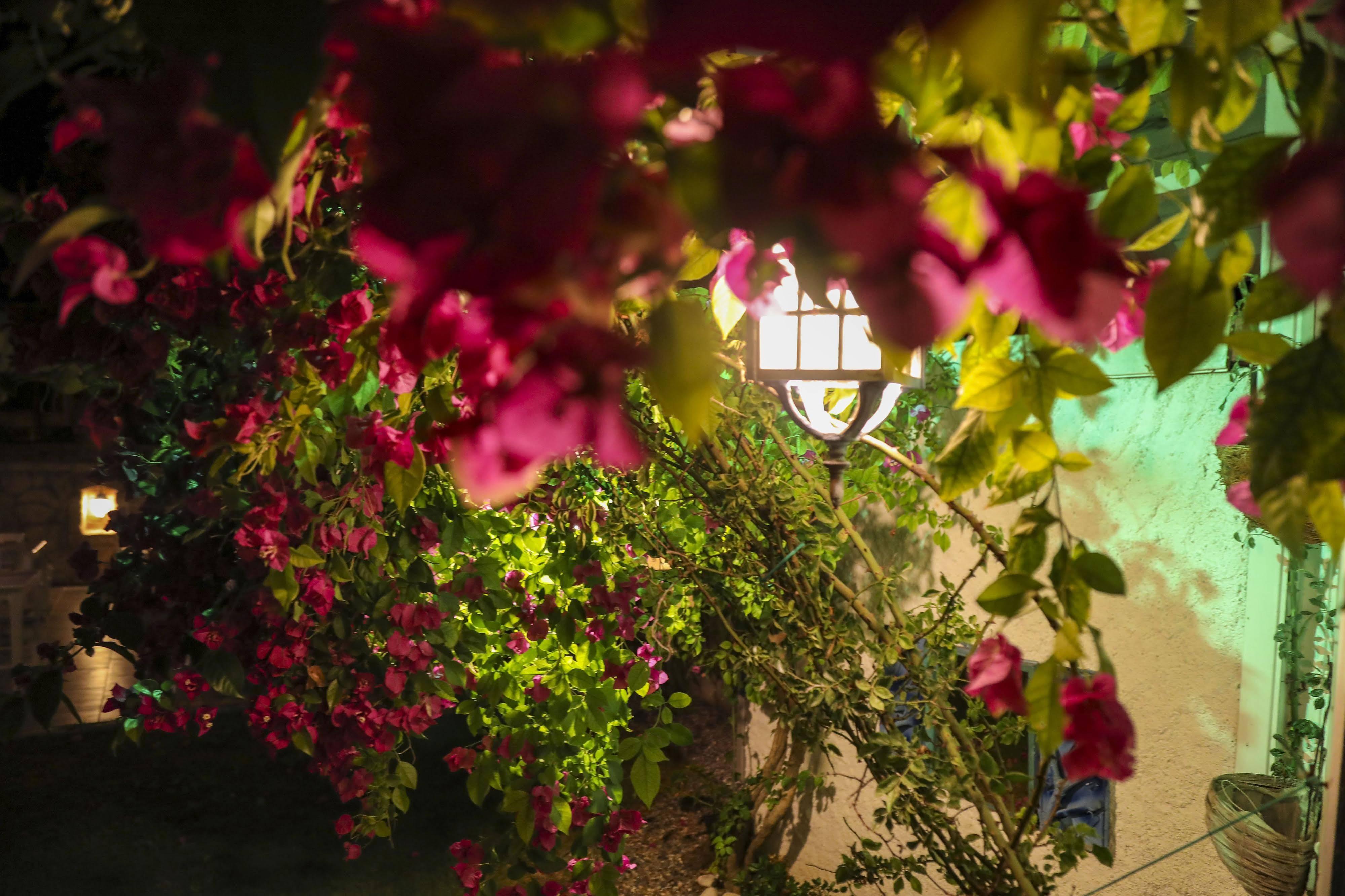 Sari Gelin Alacati Hotel Exterior photo